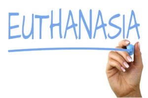 Disadvantages of Euthanasia